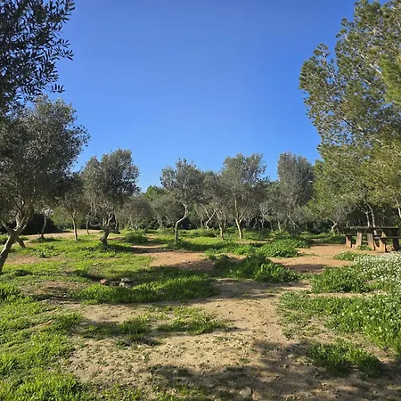 Open Park Views 2 Bedroom Modern 4 - Appartement