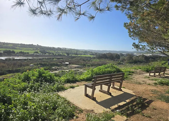 公寓 Serenity No 4 圣保罗湾城