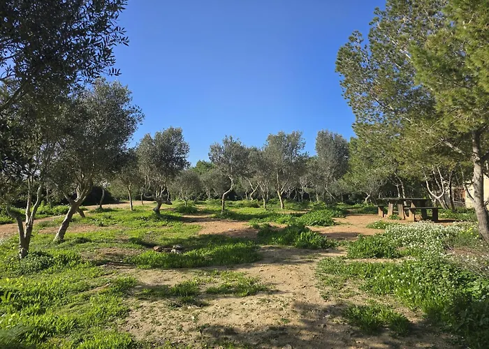 Serenity No 4 公寓